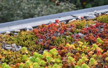 the cost of Long Drax green roof installation