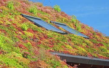 Long Drax living roof systems